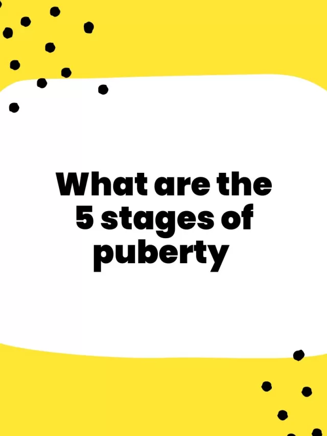 What are the stages of puberty