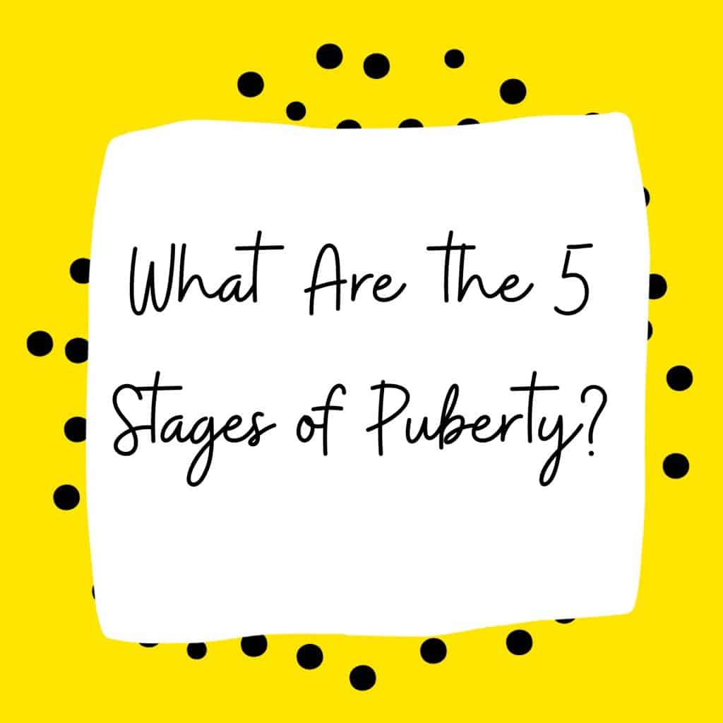 the stages of puberty for a girl