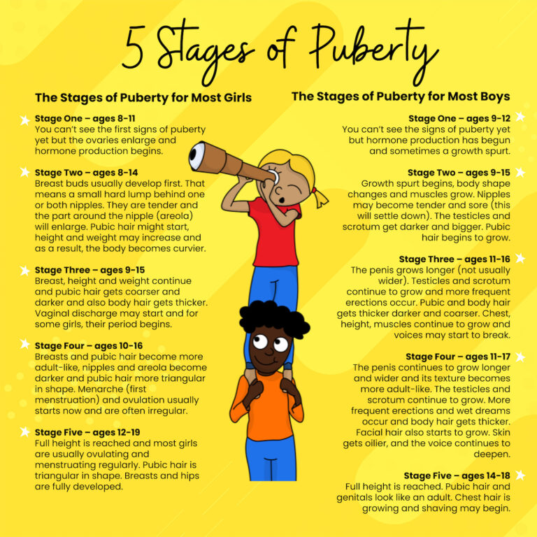 The 5 Stages of Puberty - Tanner Stages of Puberty | Amazing Me