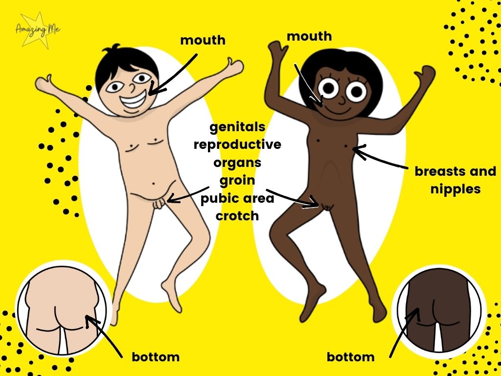 Infographic that show a boy and a girls and indicate the correct names of their private parts