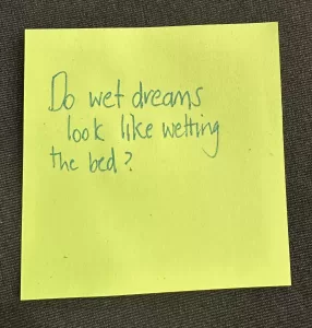 Do wet dreams look like wetting the bed
