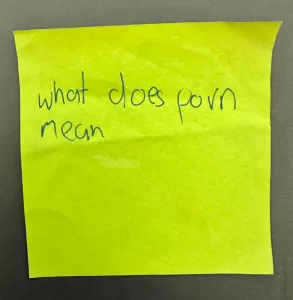 Question from the question box: What does porn mean