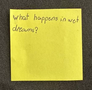 What happens in wet dreams
