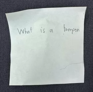 what-is-a-tampon