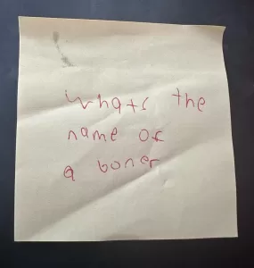 whats the name of a boner