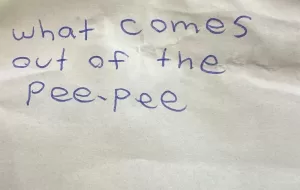what comes out of pee pee